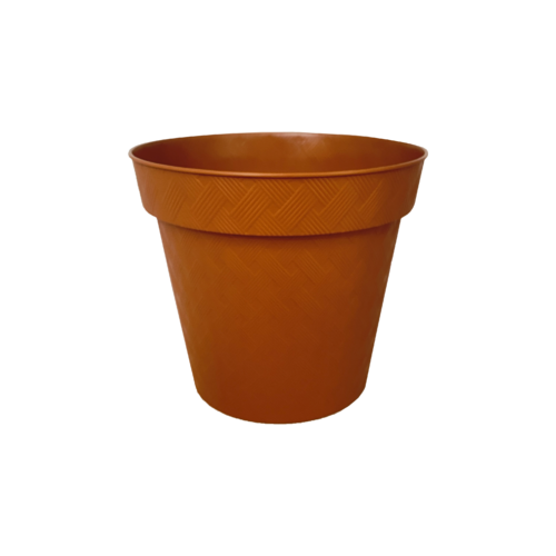 Maceta Bejúco # 6